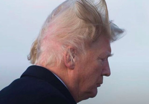 donald-trump-hair.jpg