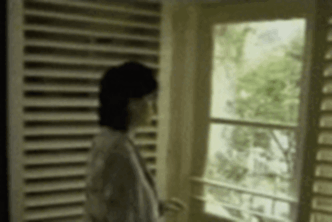 Enya 1996 opening shutters .gif