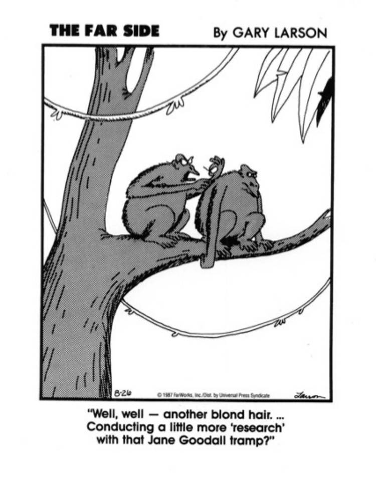Far-Side-Jane-Goodall.jpg