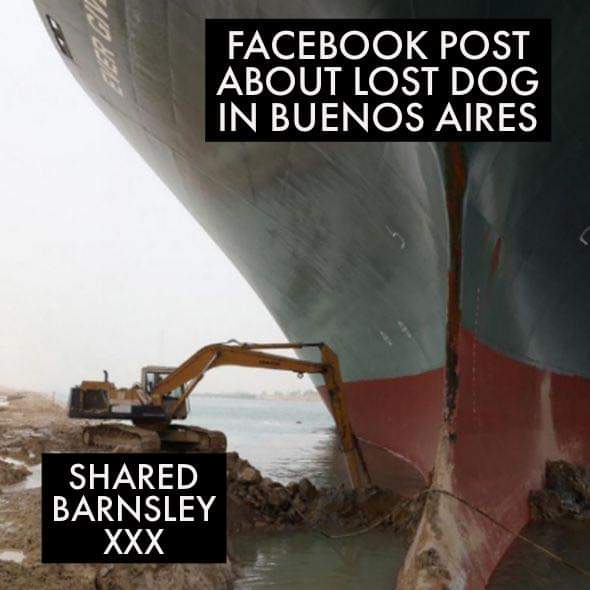 FB_IMG_1616955365448.jpg