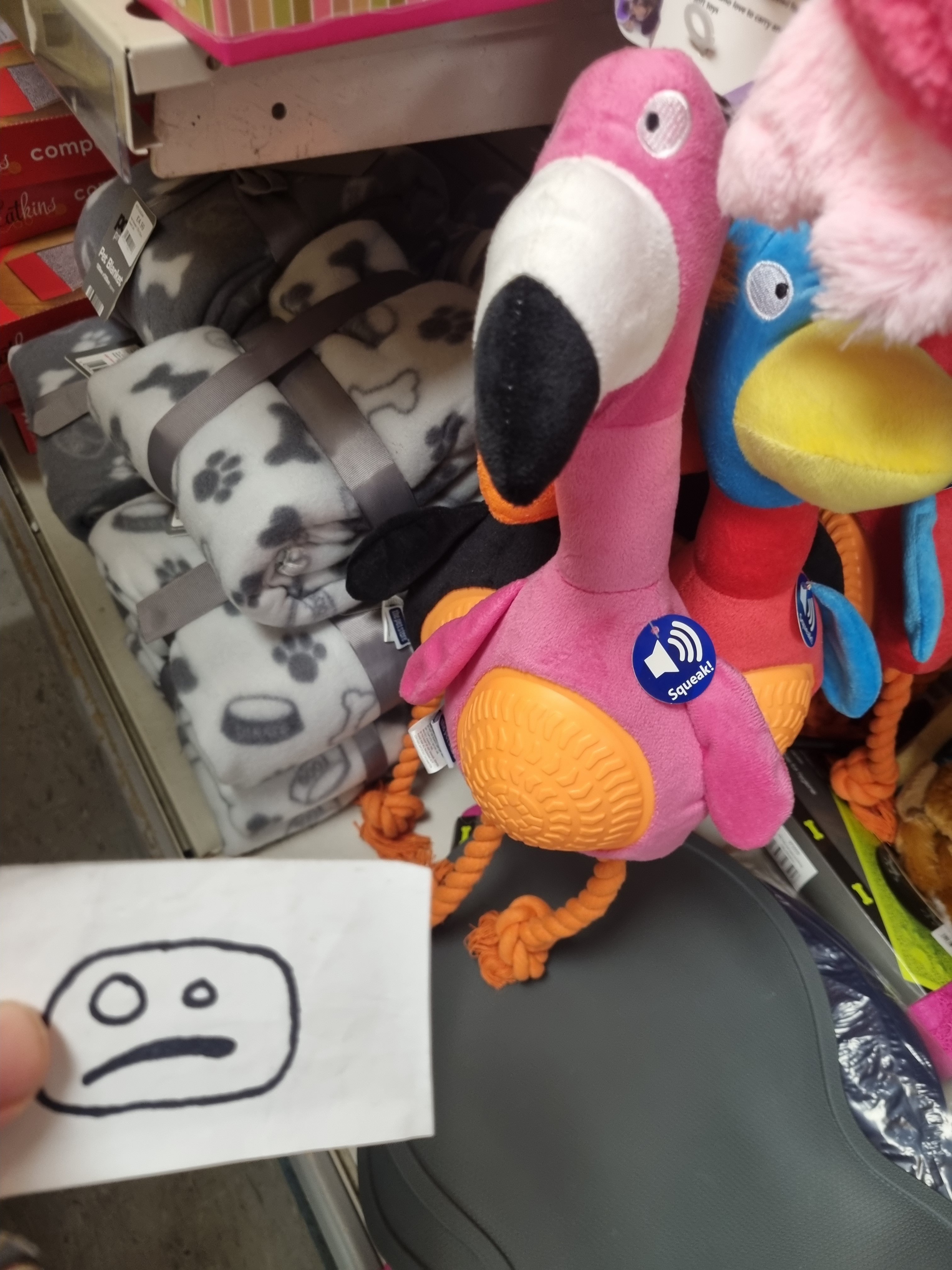 flamingo.jpg