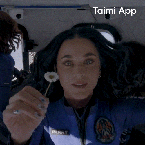 giphy-1.gif