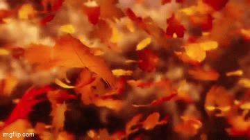 I could fall and keep on falling Enya lyric.gif