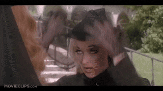 IllustriousGentleCrustacean-max-1mb.gif