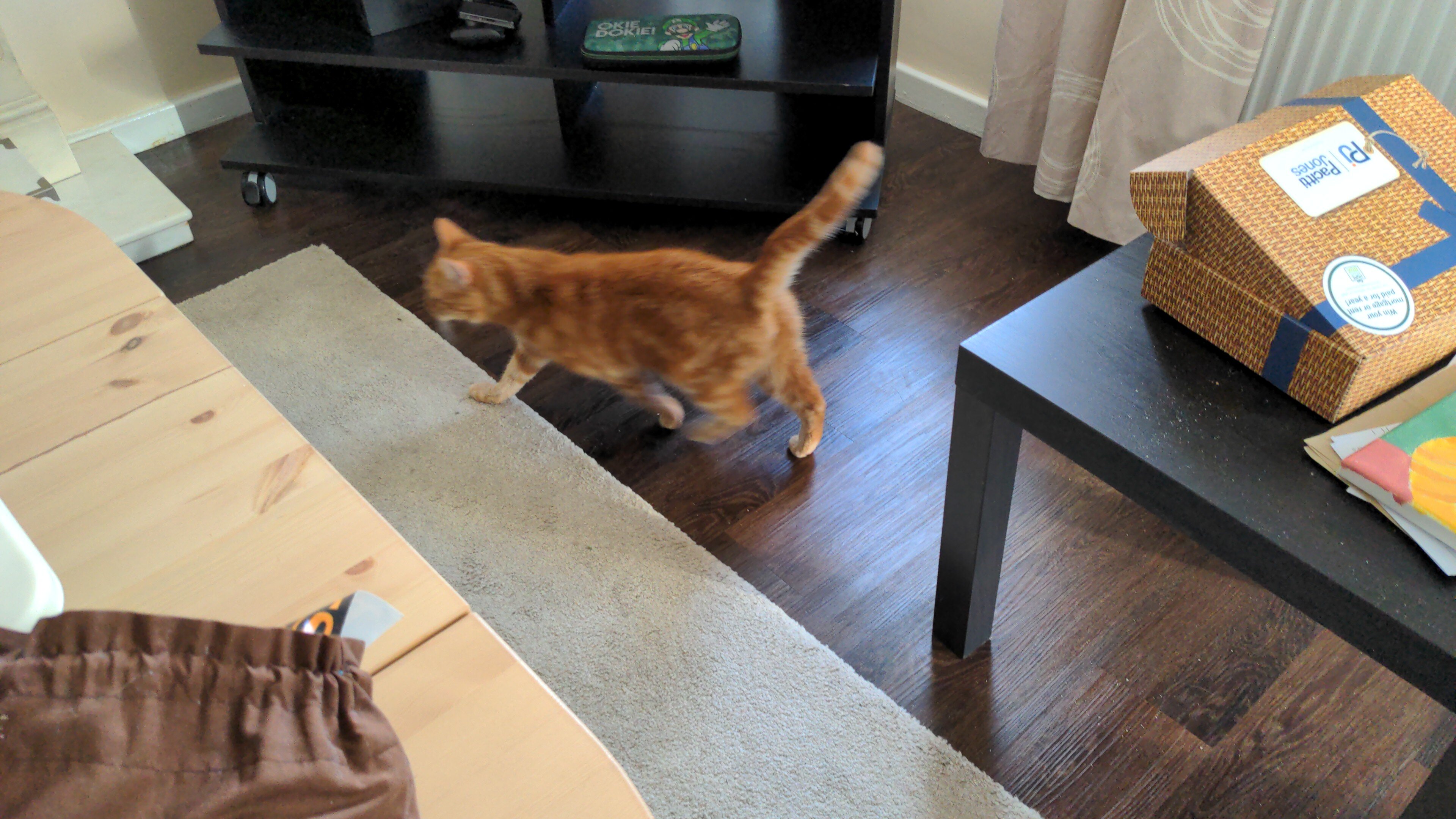 IMG-20221001-WA0012.jpeg
