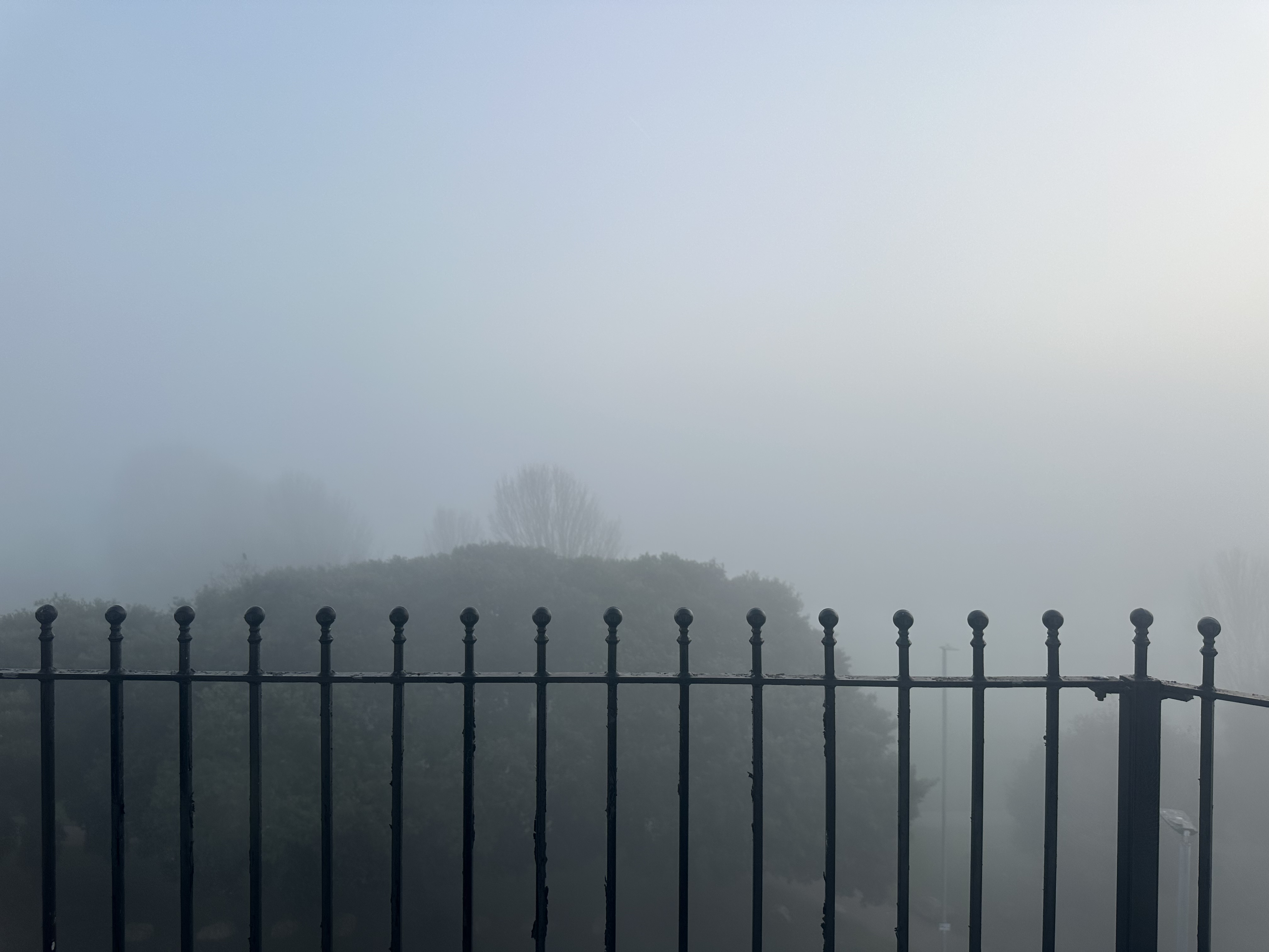 IMG_0303.jpeg