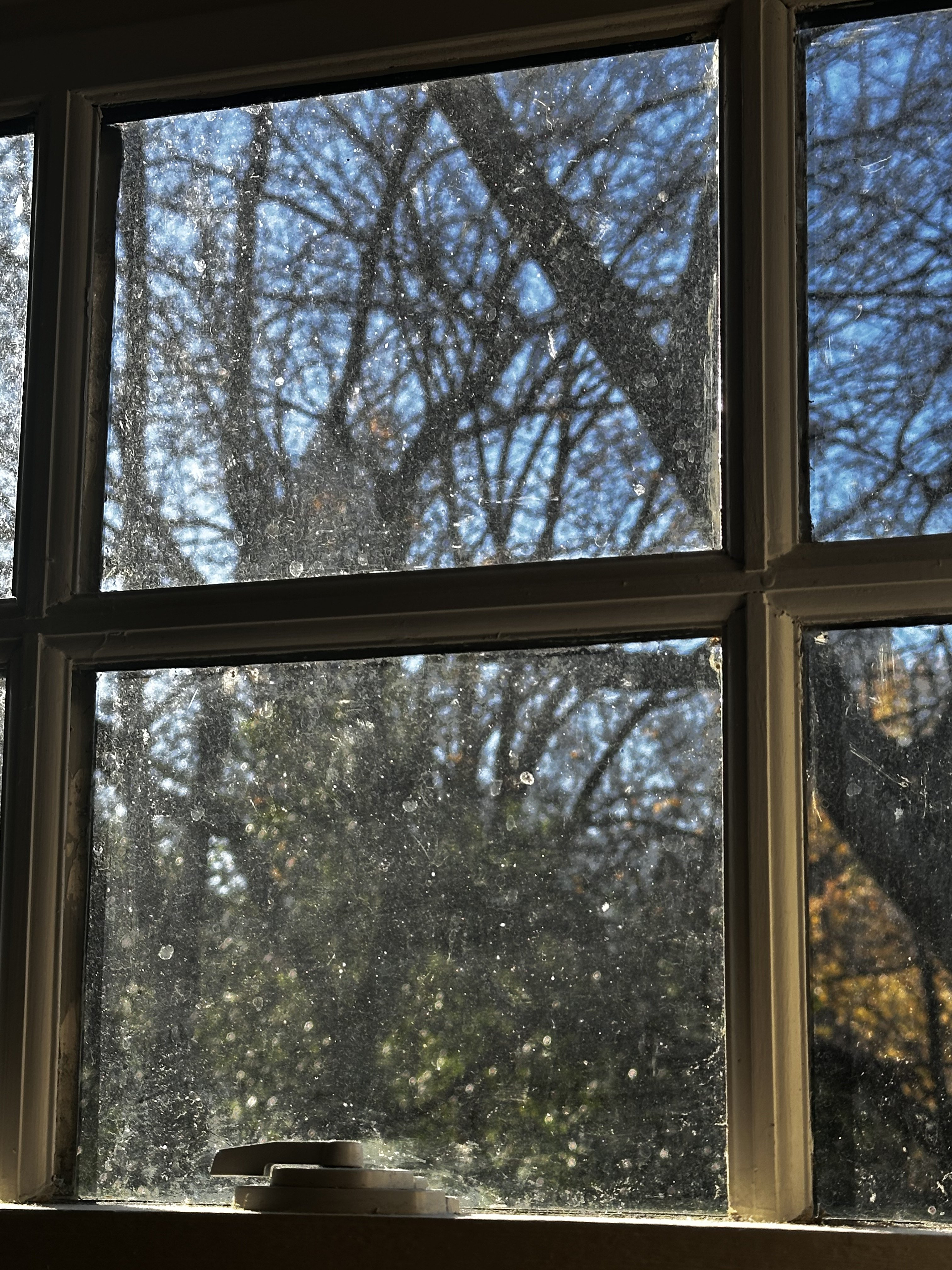 IMG_0836.jpeg