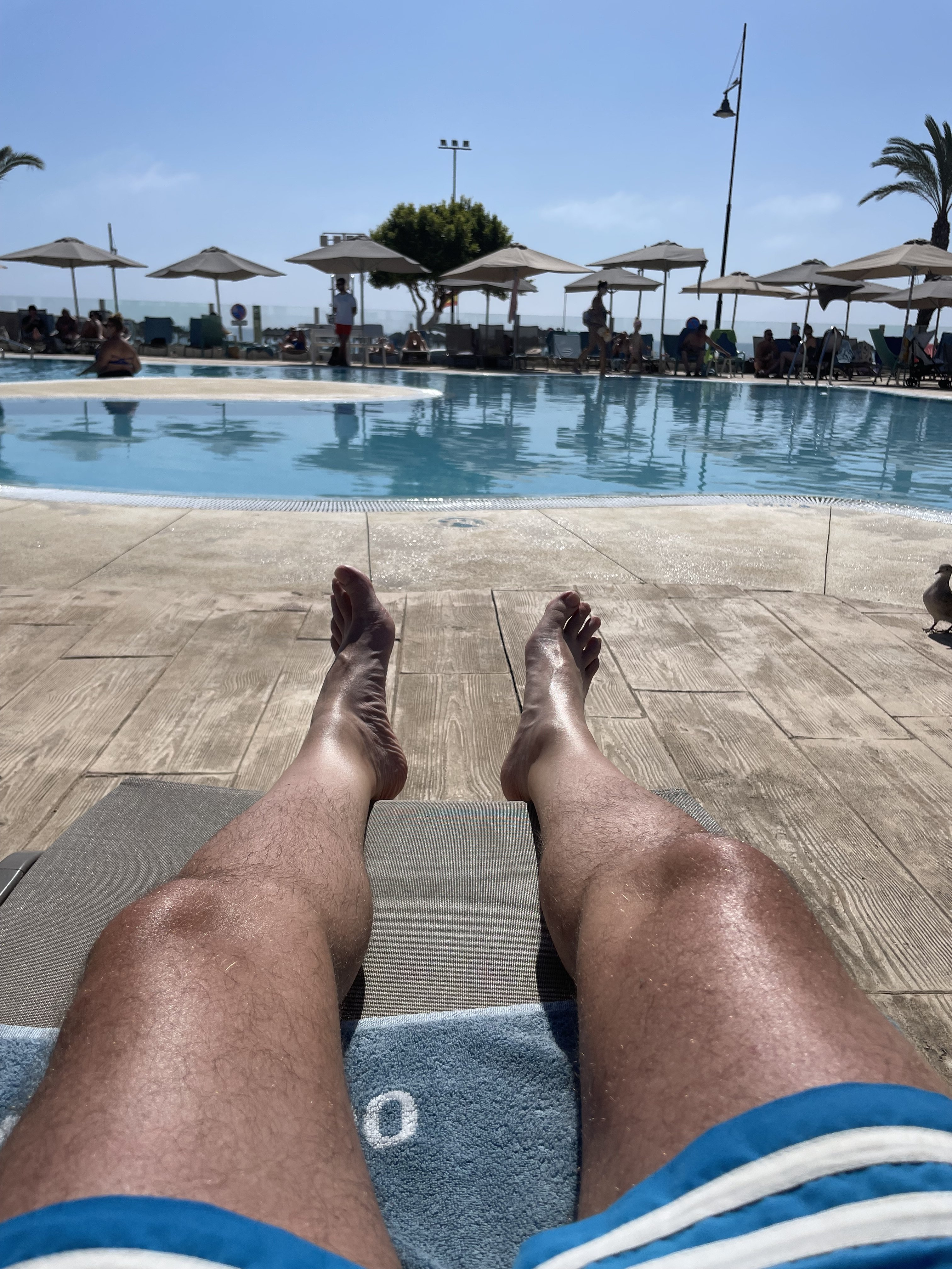 IMG_1942.jpeg