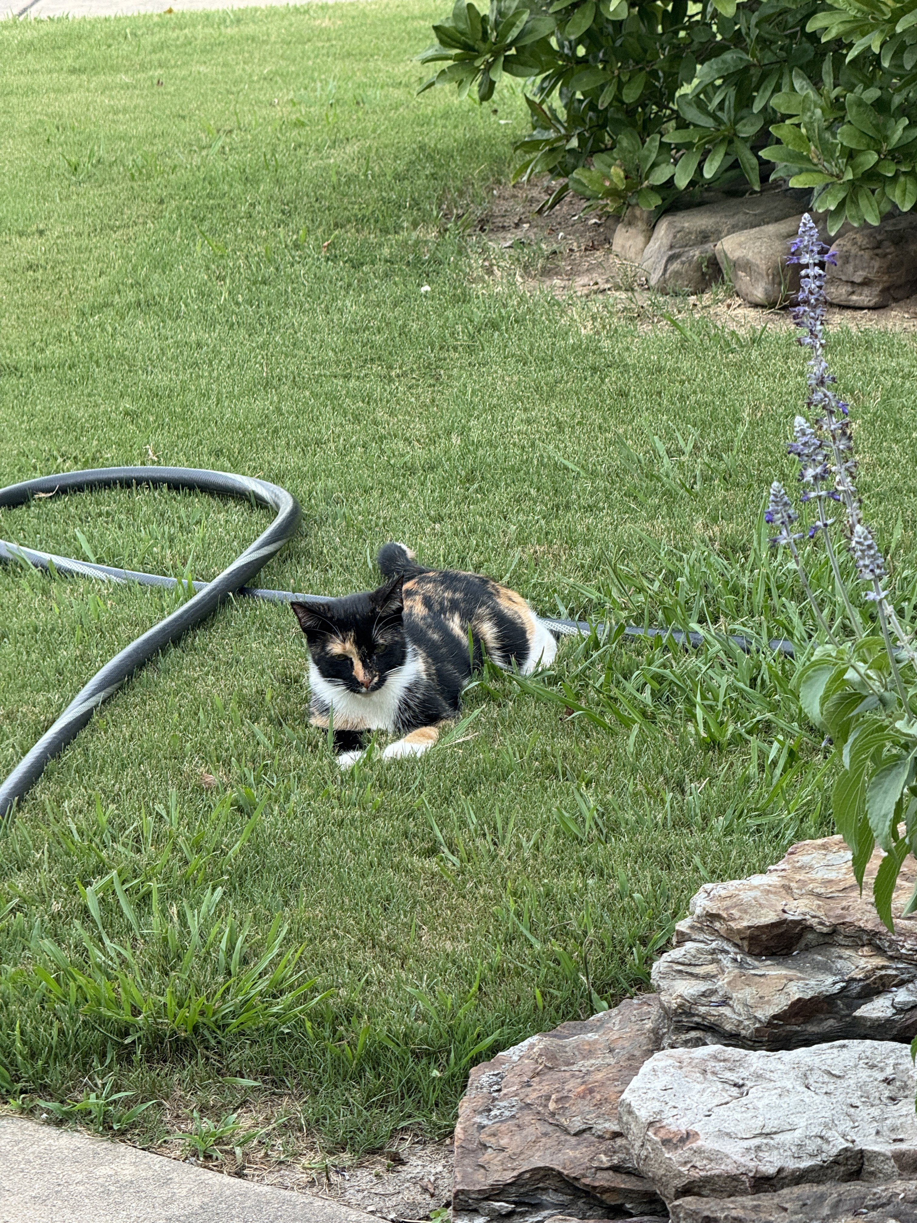 IMG_1946.jpeg