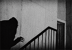 IMG_2526.gif