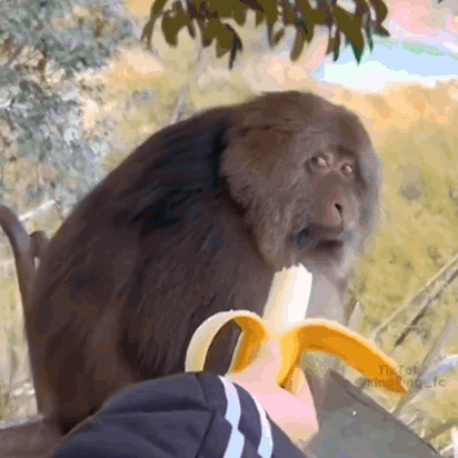IMG_2536.gif