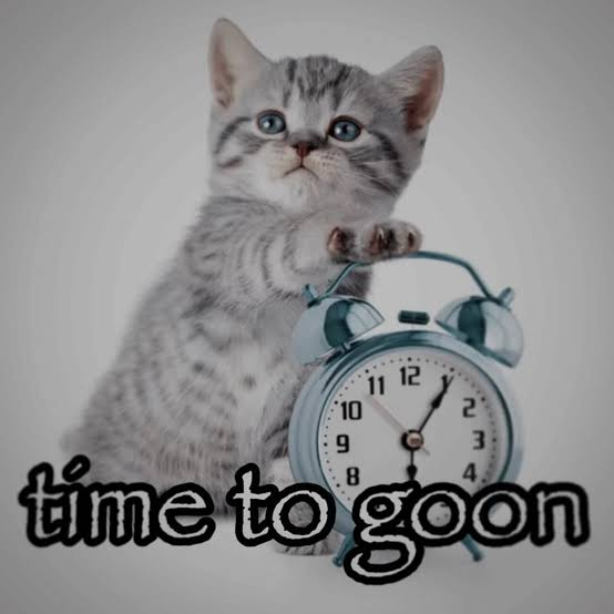 IMG_2575.jpeg