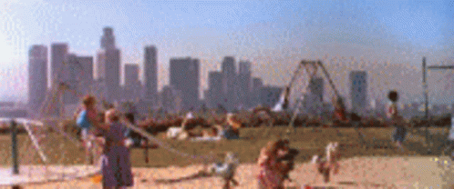IMG_2944.gif