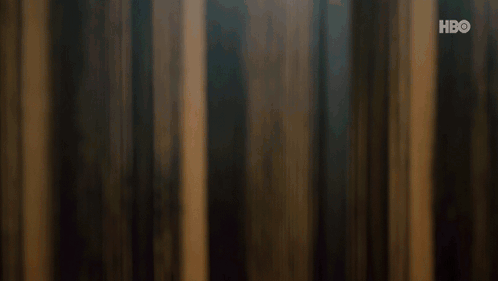 IMG_3265.gif