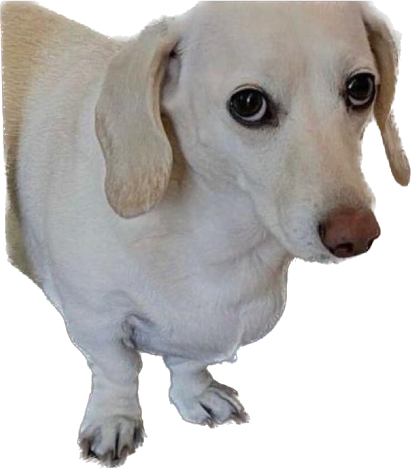IMG_3432.png