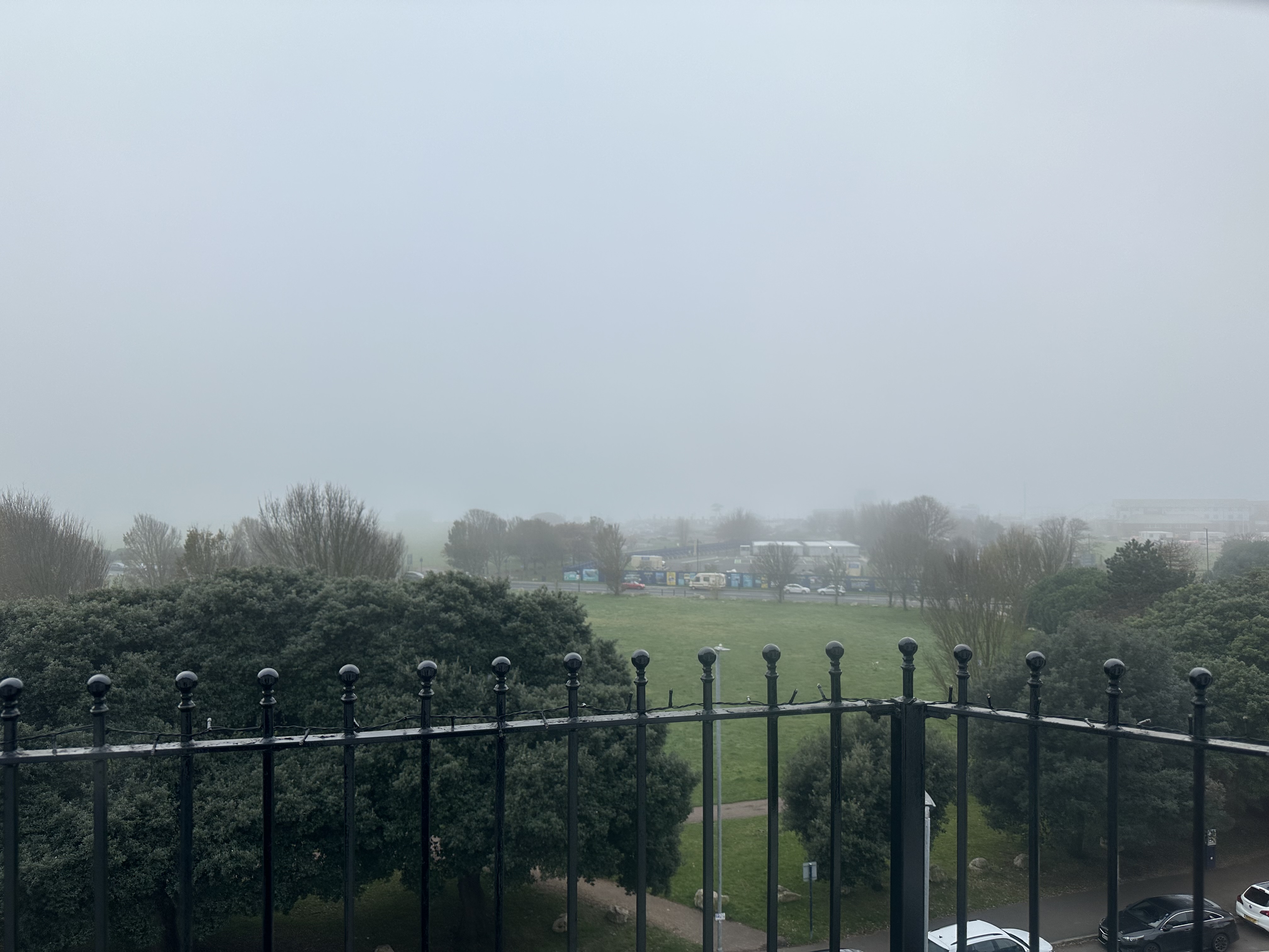 IMG_3514.jpeg
