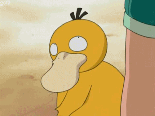 IMG_3703.gif