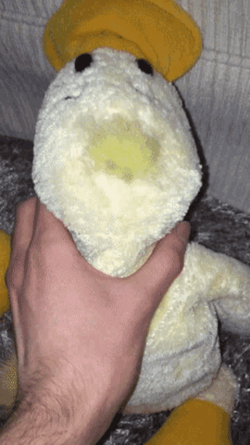 IMG_3838.gif