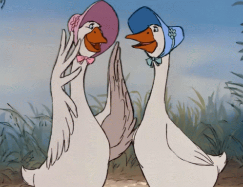 IMG_3853.gif