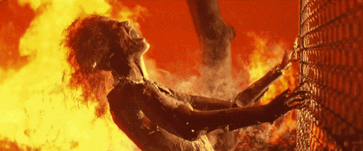 IMG_5164.gif