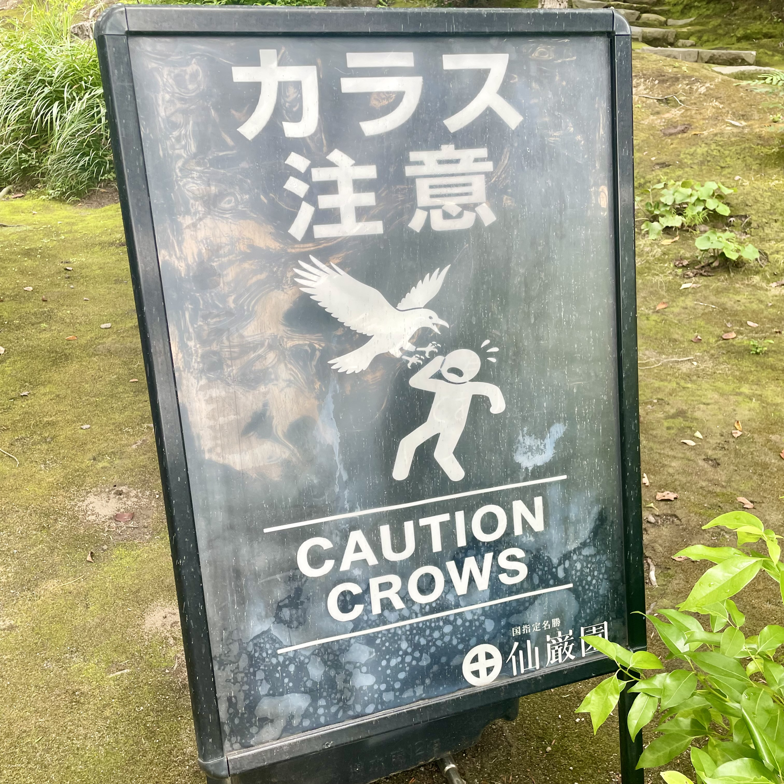 IMG_5775.jpeg