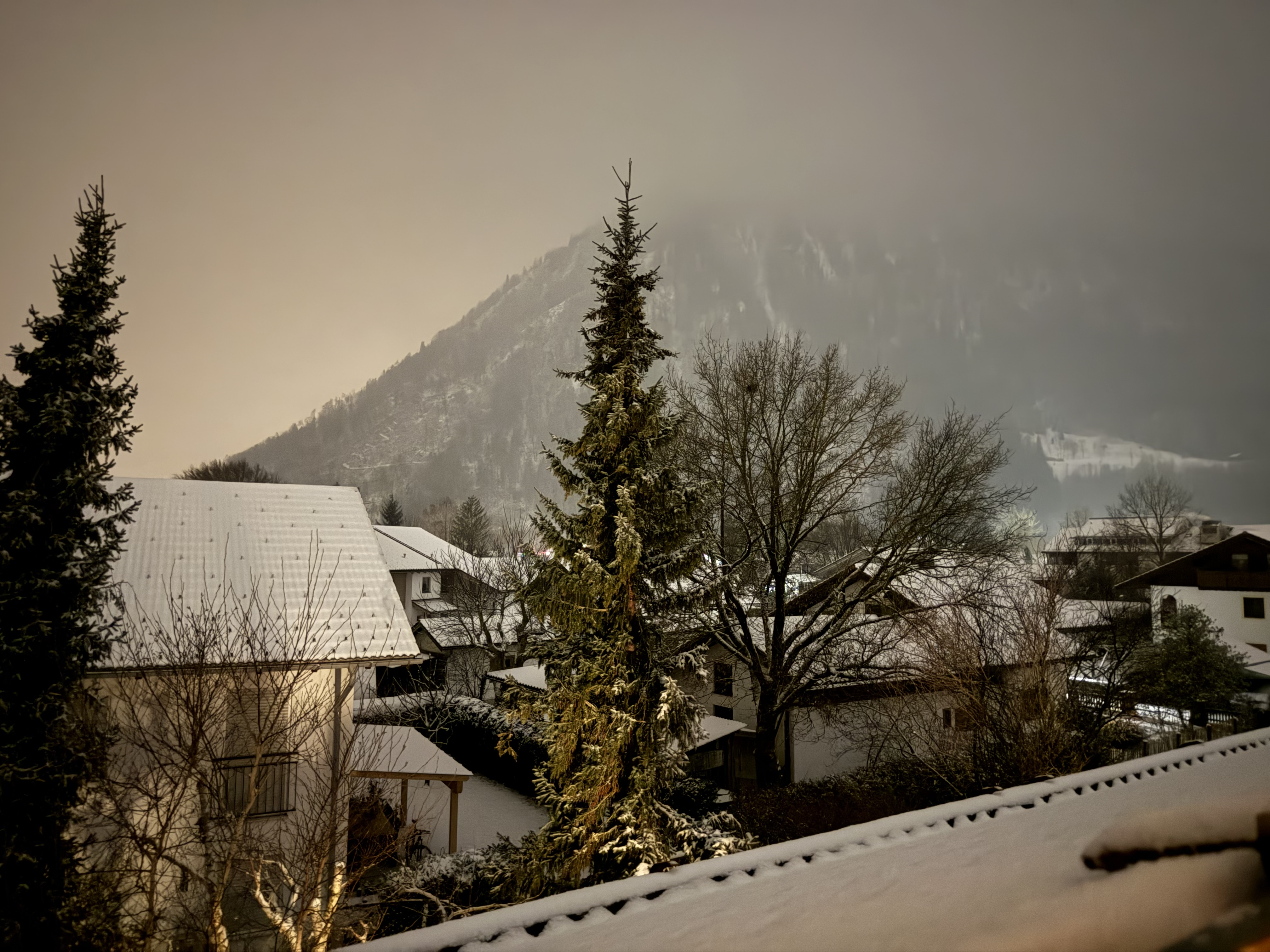 IMG_7799.jpeg