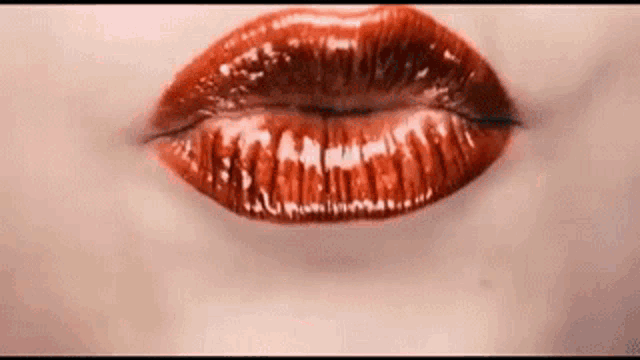 IMG_7862.gif