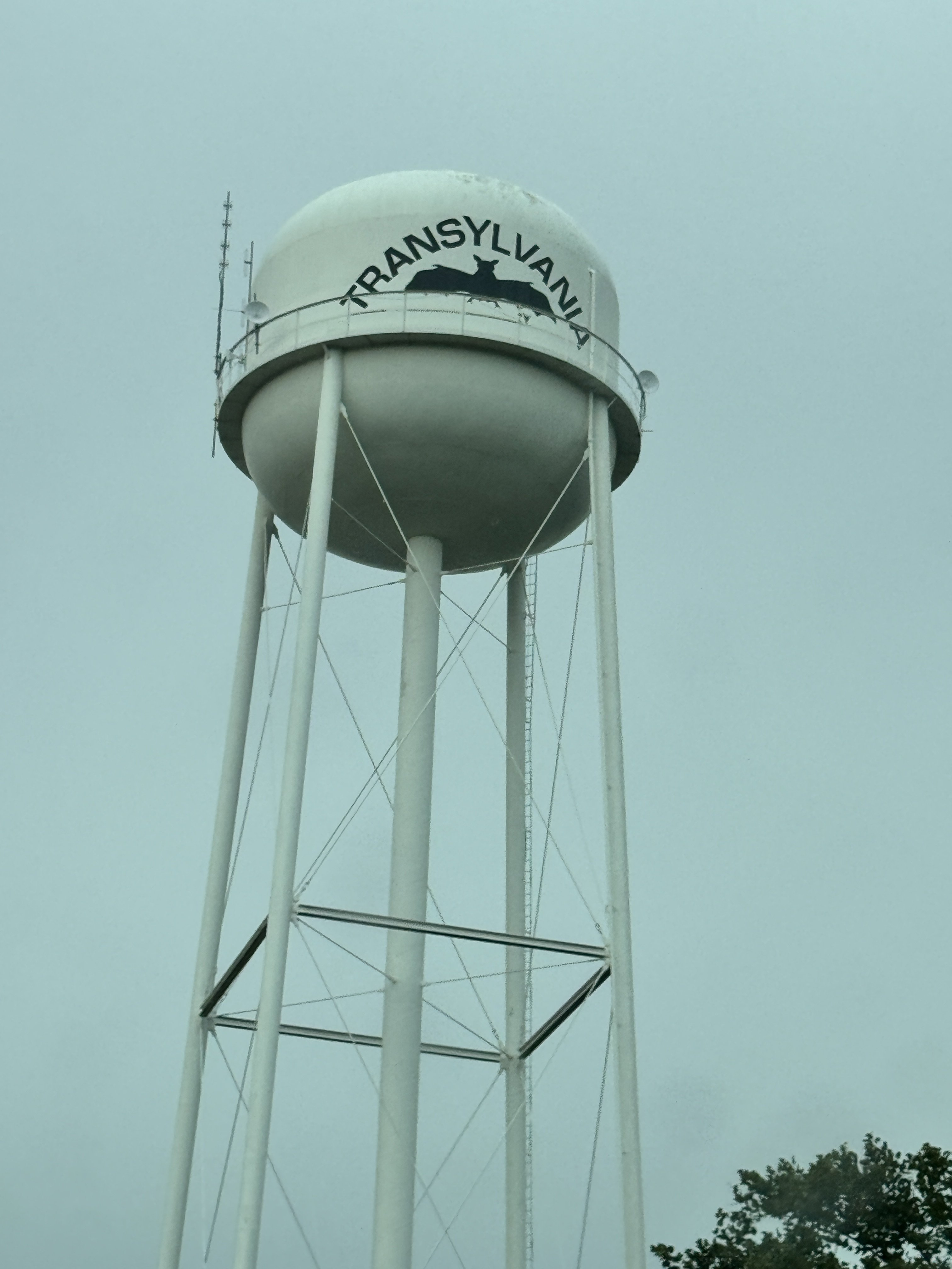 IMG_9014.jpeg