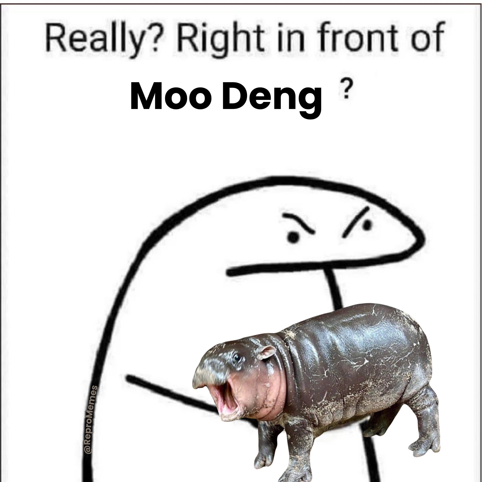 IMG_9464.jpeg