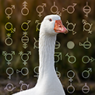 Indie.png