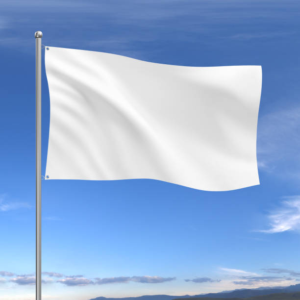 istockphoto-2099668042-612x612.jpg