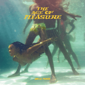 Janelle Monáe - The Age of Pleasure.png