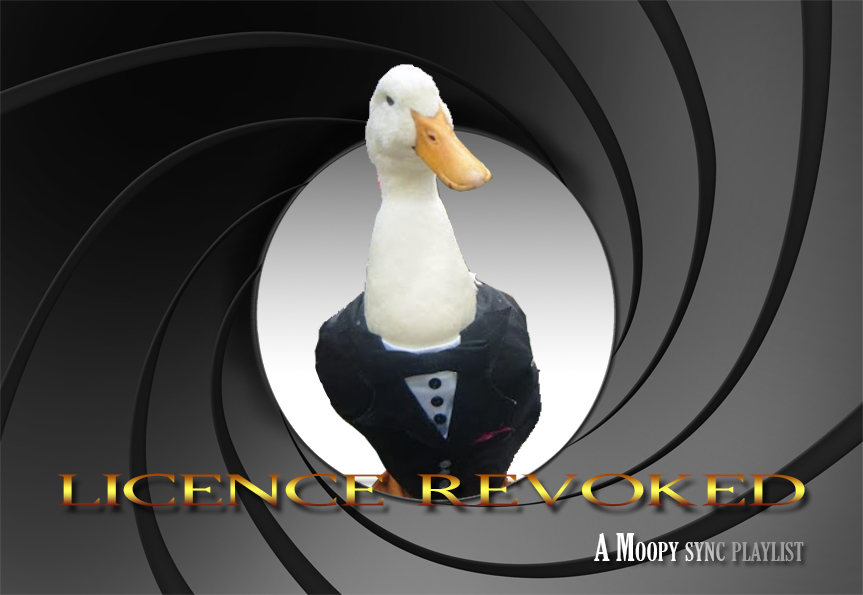 licence revoked poster.jpg