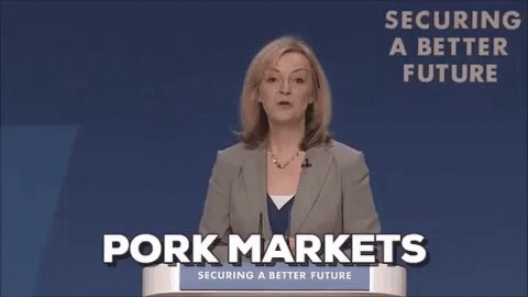 liz-truss (1).gif