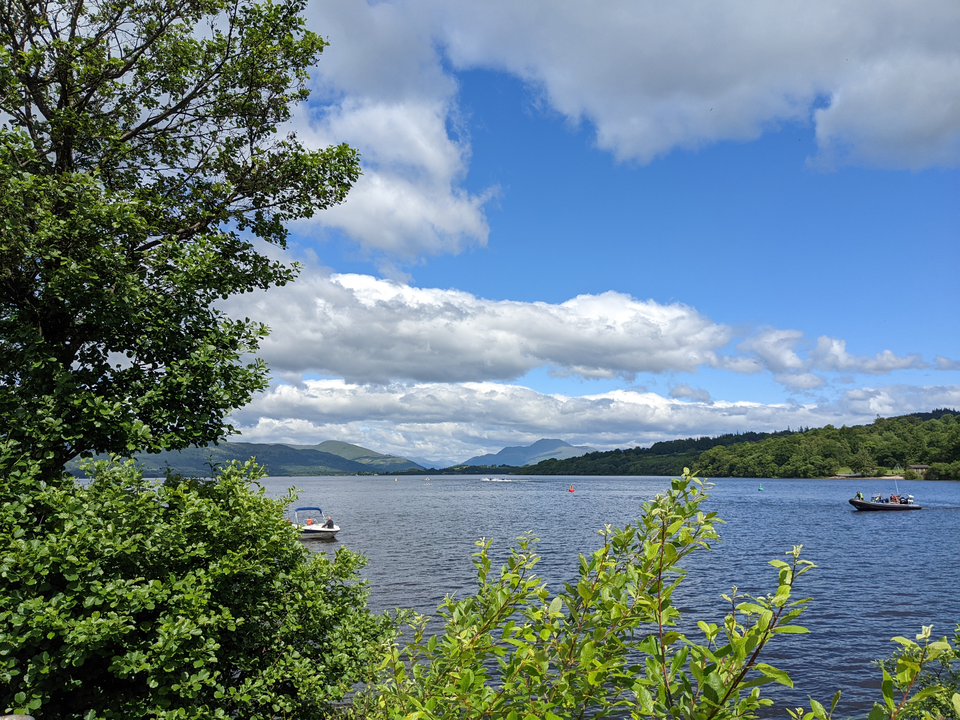 PXL_20220619_104827483.jpg