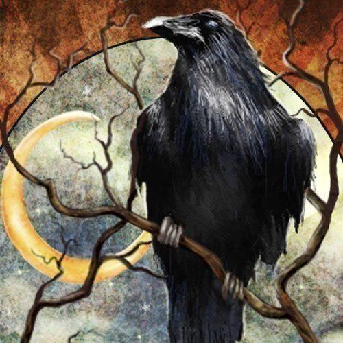 Raven.jpg