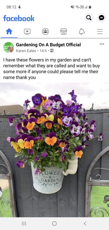 Screenshot_20210527-081230_Facebook.jpg