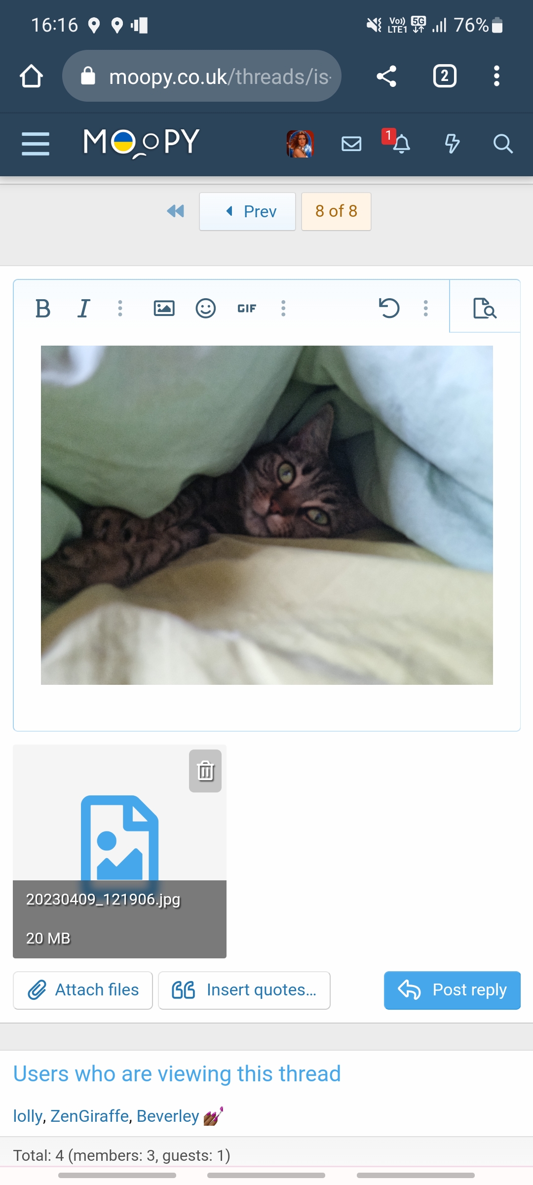Screenshot_20230409_161641_Chrome.jpg
