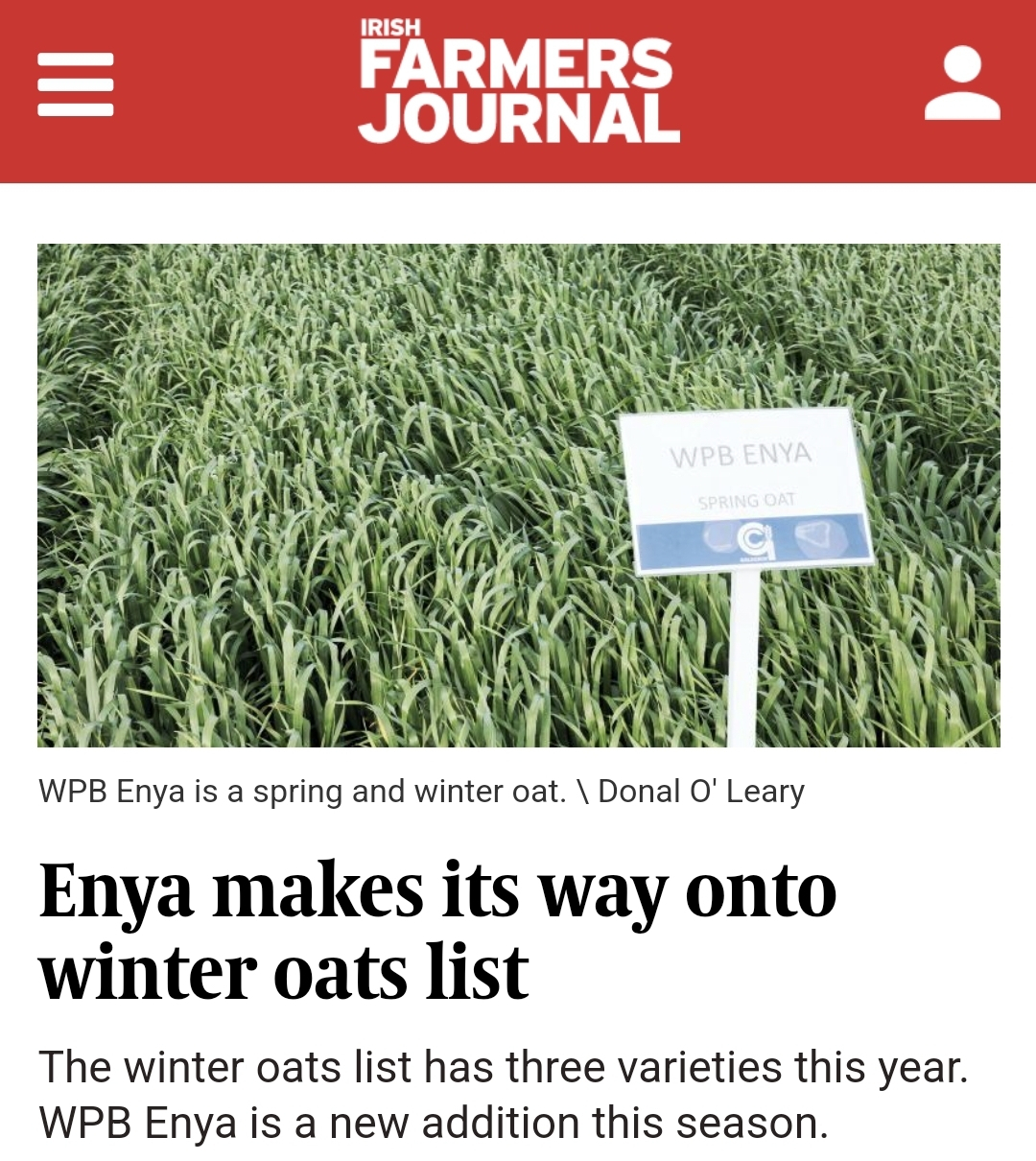 From https://www.farmersjournal.ie/tillage/news/enya-makes-its-way-onto-winter-oats-list-834873