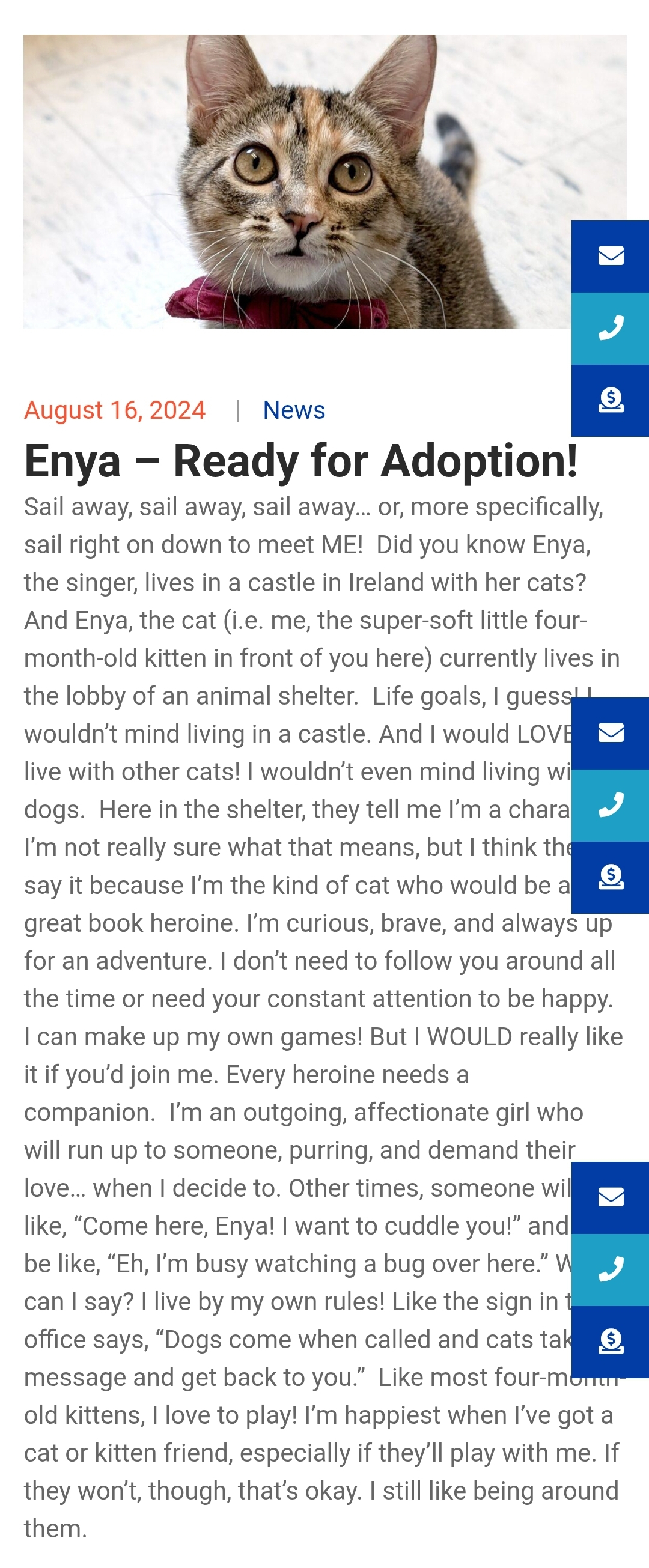 Enya kitten 🤗♡🐈‍⬛️
