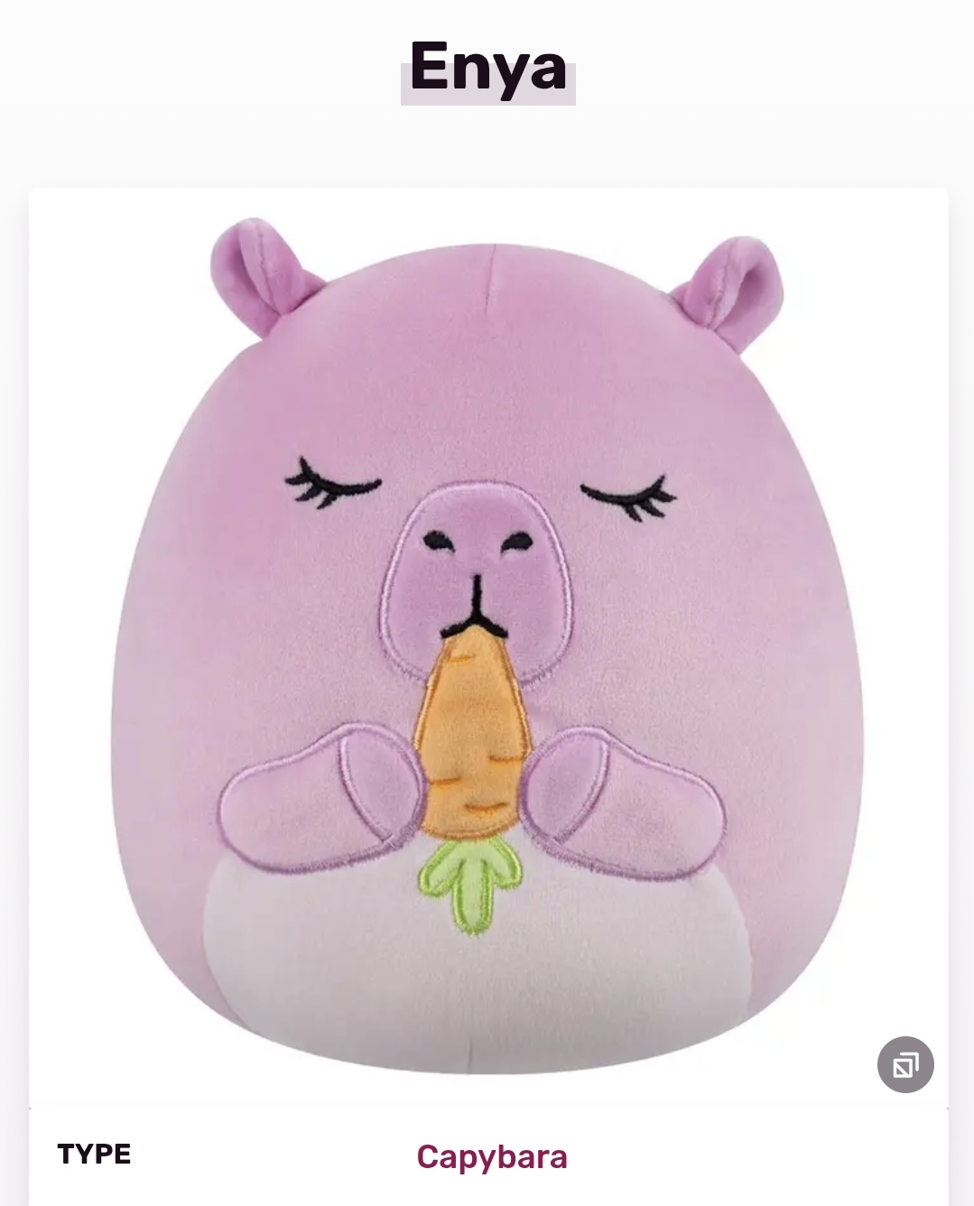 Enya (Squishmallow toy) the Easter capybara 