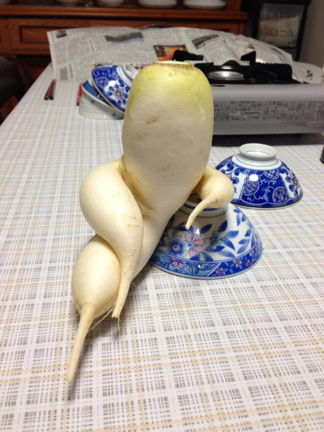 seductive-radishes1.jpg