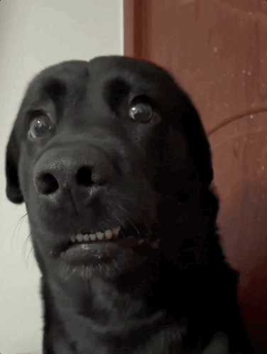 source.gif