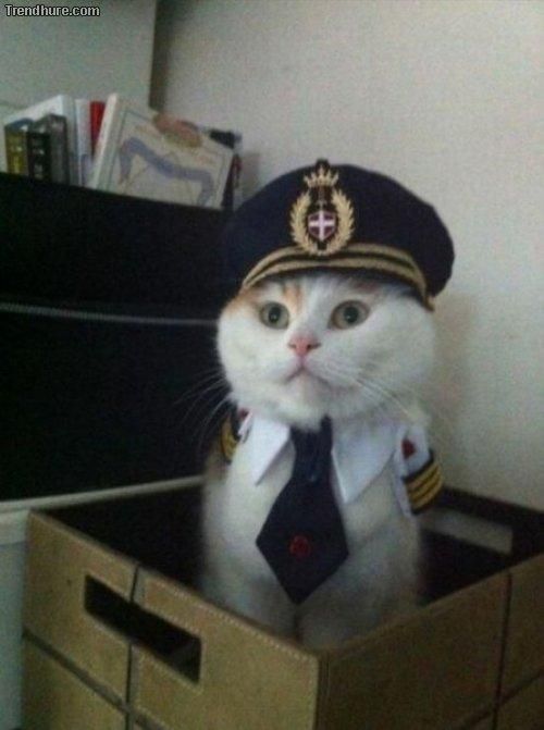 This is your captain speaking.jpg