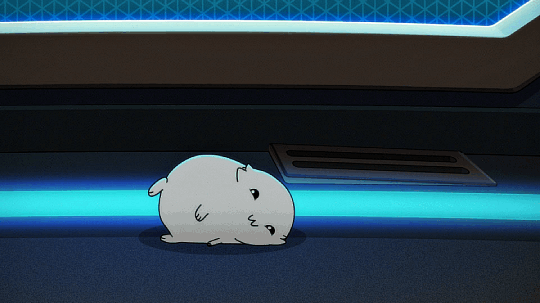 tumblr_0832a863822d71dfd1153cc4644afe6e_56ae0c44_540.gif