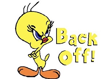Tweety Bird.jpg