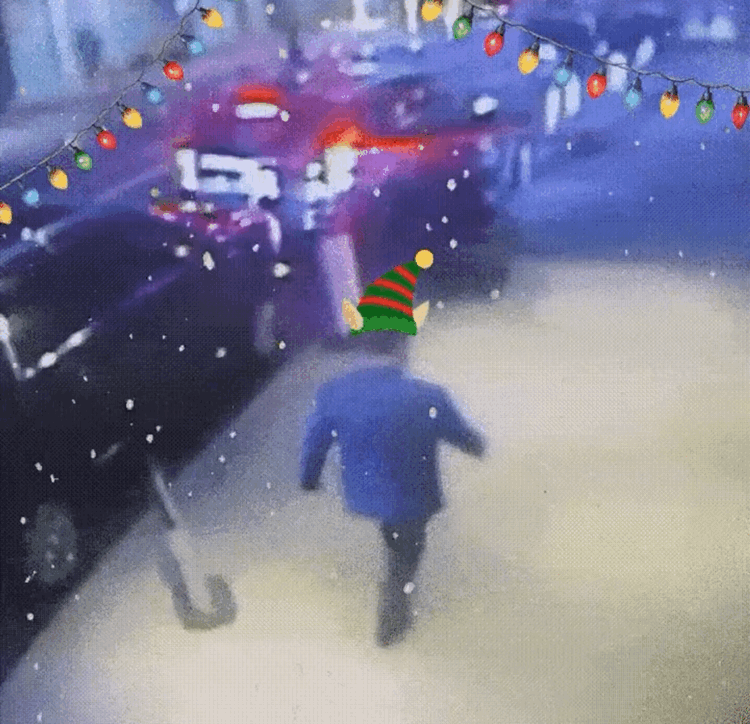 VideoToGif_GIF.gif