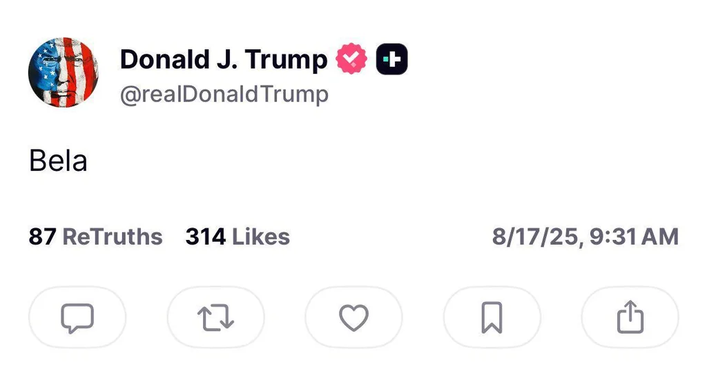 vztb33wc6ljf1.webp