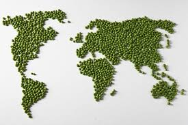 World Peas.jpeg
