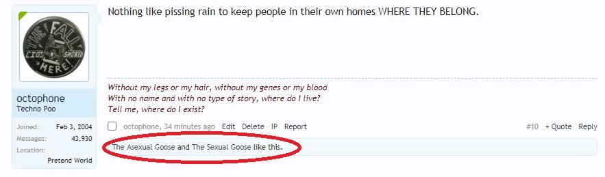 heheh.jpg